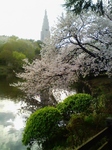 gyoen.jpg